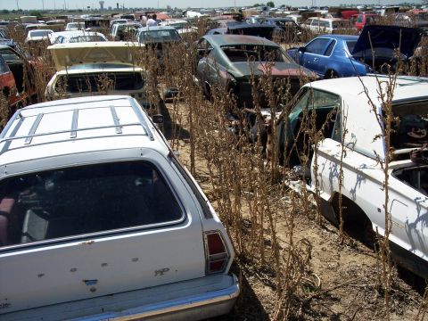 1972 Ford Ranchero - A junkyard filled with numerous old cars, overgrown with dry weeds.