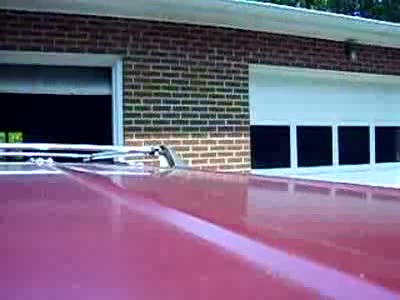 1982 Ford LTD Crown Victoria - Bertha's Smoking Problem