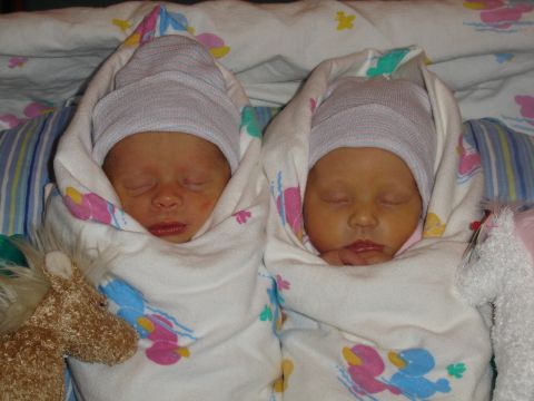 1994 Ford Bronco - Two newborn babies are swaddled in blankets and wearing caps, lying next to a stuffed horse toy.