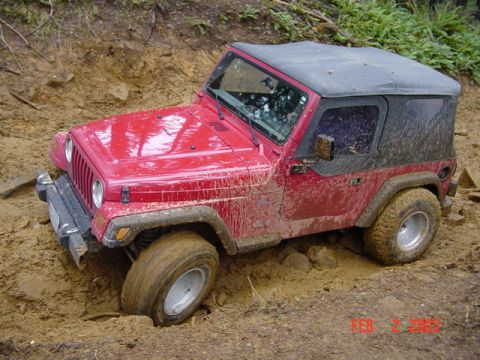 1989 Ford Bronco - Tj did not make it