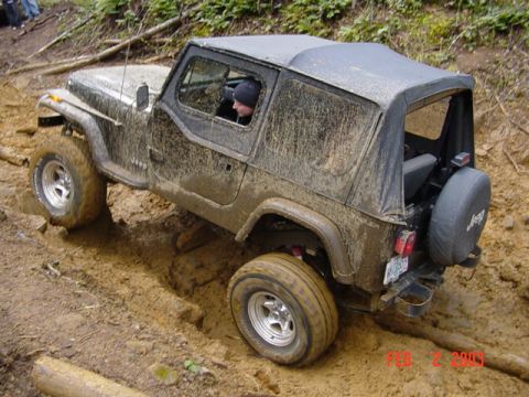 1989 Ford Bronco - Up on the rock