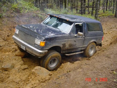 1989 Ford Bronco - He made it to here, Get the winch