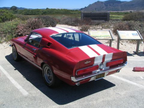 1986 Pontiac Fiero “SheBeast”