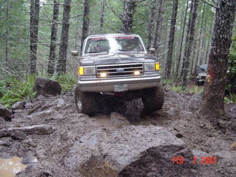 1989 Ford Bronco - Ok, line looks good
