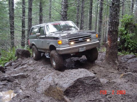 1989 Ford Bronco - Its all good