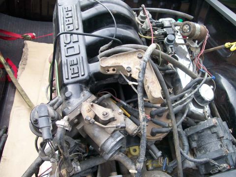 1989 Ford Bronco - Close-up of a Ford 5.0L engine, likely from the late 1980s or early 1990s.