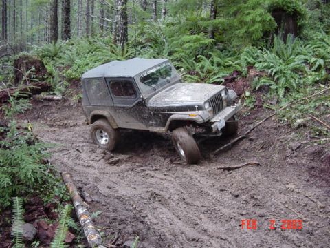 1989 Ford Bronco - A little off the side