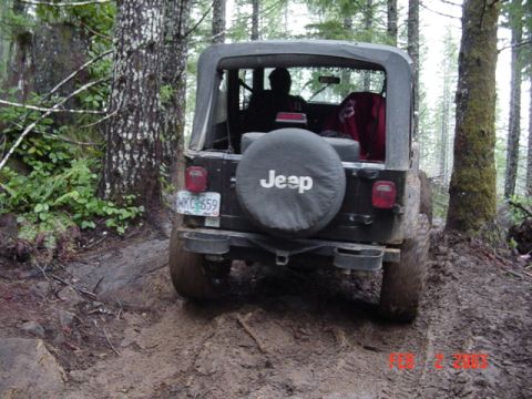 1989 Ford Bronco - Up thru the trees to the spot