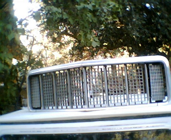 1973 Ford Ranchero - A close-up of a vehicle's front grille, with trees in the background.