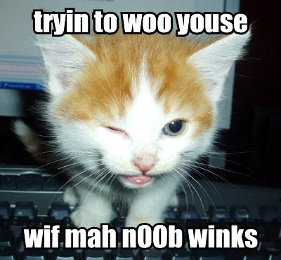2001 Ford Crown Victoria - A kitten winks while sitting on a keyboard, with text overlays.