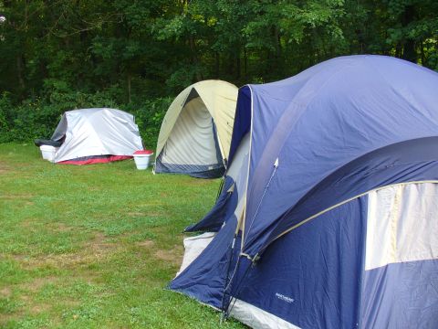 1991 Ford Probe - A campsite scene with multiple tents pitched on a lawn, surrounded by dense foliage.