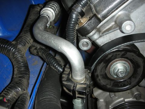 1998 Ford Crown Victoria - A close-up view of various engine components, including hoses and a serpentine belt system.