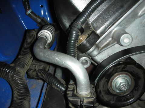 1998 Ford Crown Victoria - Close-up view of engine components including hoses and a drive belt.