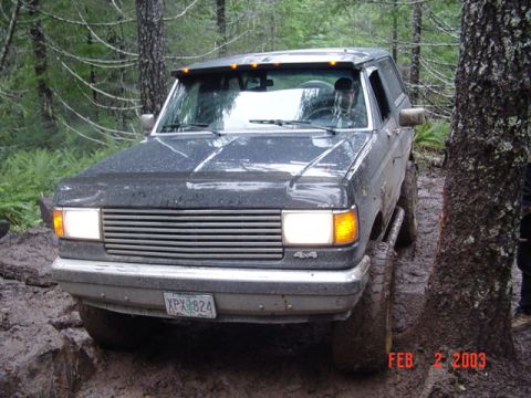 1989 Ford Bronco - Scary tree