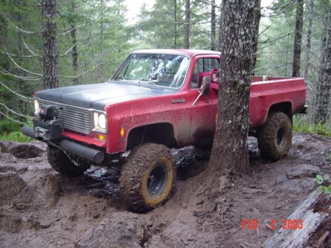 1989 Ford Bronco - This guy wouldnt listen to spotting and crushed the side of his truck