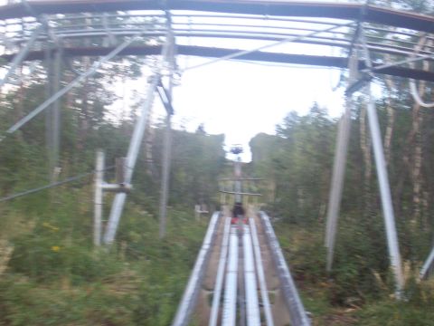 1972 Ford Ranchero - A person rides an alpine coaster through a wooded area on a bright day.