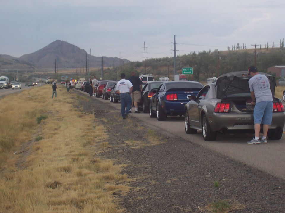 Line of Ford Mustangs, one with open trunk, parked on roadside