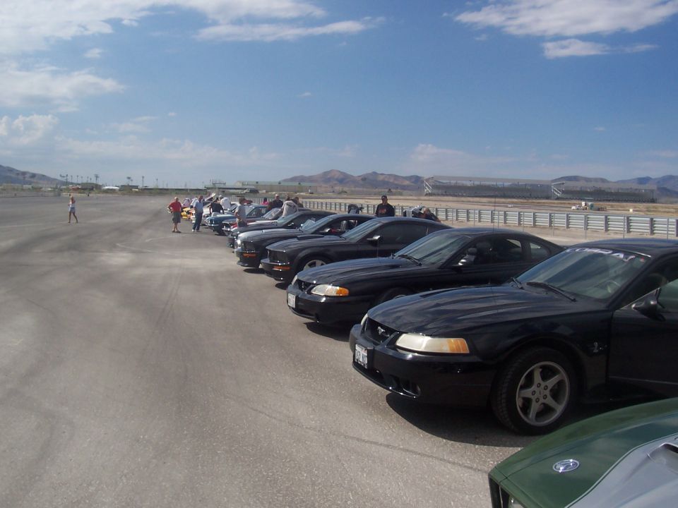 Line of black Ford Mustangs parked on asphalt, with mountains in background