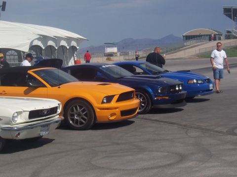 1972 Ford Ranchero - A line of Ford Mustangs are parked on asphalt, with a tent and mountains in the background.