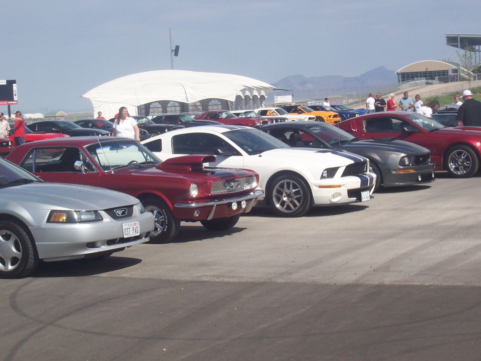 Silver 2005 Ford Mustang in foreground, followed by red, white, and gray Mustangs