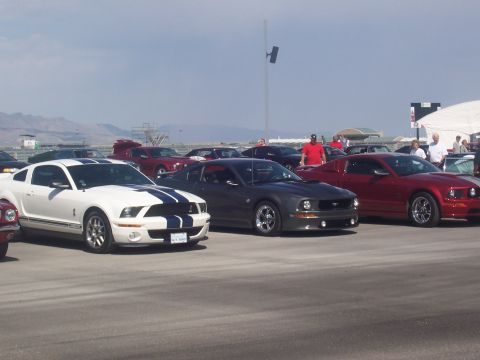 1972 Ford Ranchero - Several Ford Mustangs are gathered at an outdoor event under a bright sky.