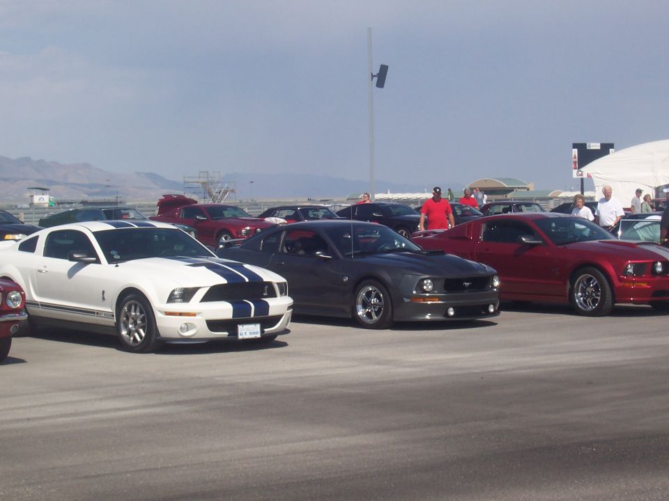 White Ford Mustang GT500 with blue stripes, dark gray Mustang, and red Mustang parked outdoors