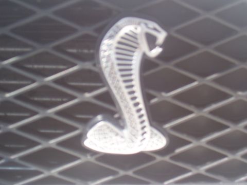 1972 Ford Ranchero - Cobra emblem on a vehicle grille.