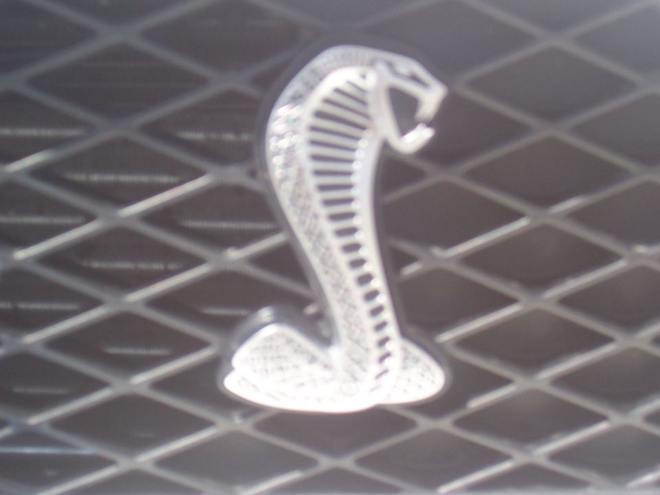 Close-up of a chrome cobra emblem on a diamond-patterned grille