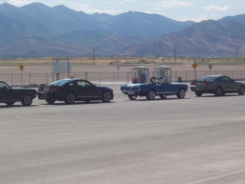 1972 Ford Ranchero - A line of Ford Mustangs, a blue convertible and a black coupe are visible in this outdoor parking lot scene.