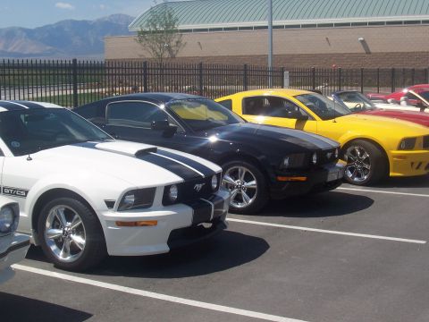 1972 Ford Ranchero - Several Ford Mustangs are lined up in a parking lot with mountains in the background.