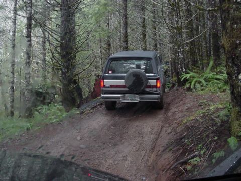 1989 Ford Bronco - Chris in the trees
