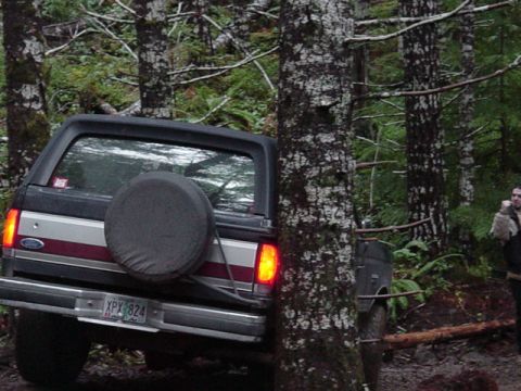 1989 Ford Bronco - Little touch on the tree