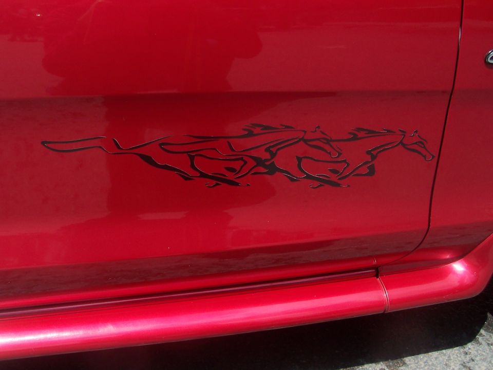 Red vehicle side panel with black running horse graphic decal and side step