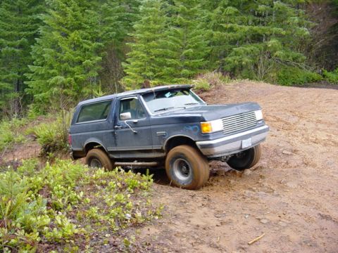 1989 Ford Bronco - No problem