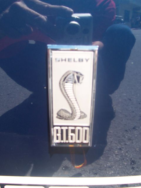 1972 Ford Ranchero - Close-up of a Shelby GT500 emblem on a car's body panel.