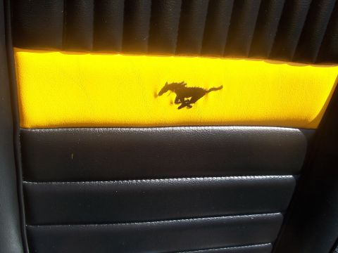 1972 Ford Ranchero - Close-up of a car's interior door panel a running horse emblem on a yellow stripe.