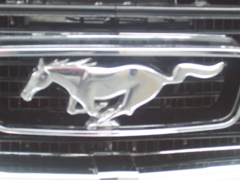 1972 Ford Ranchero - A close-up of a chrome running horse emblem is visible on the front grille of a vehicle.