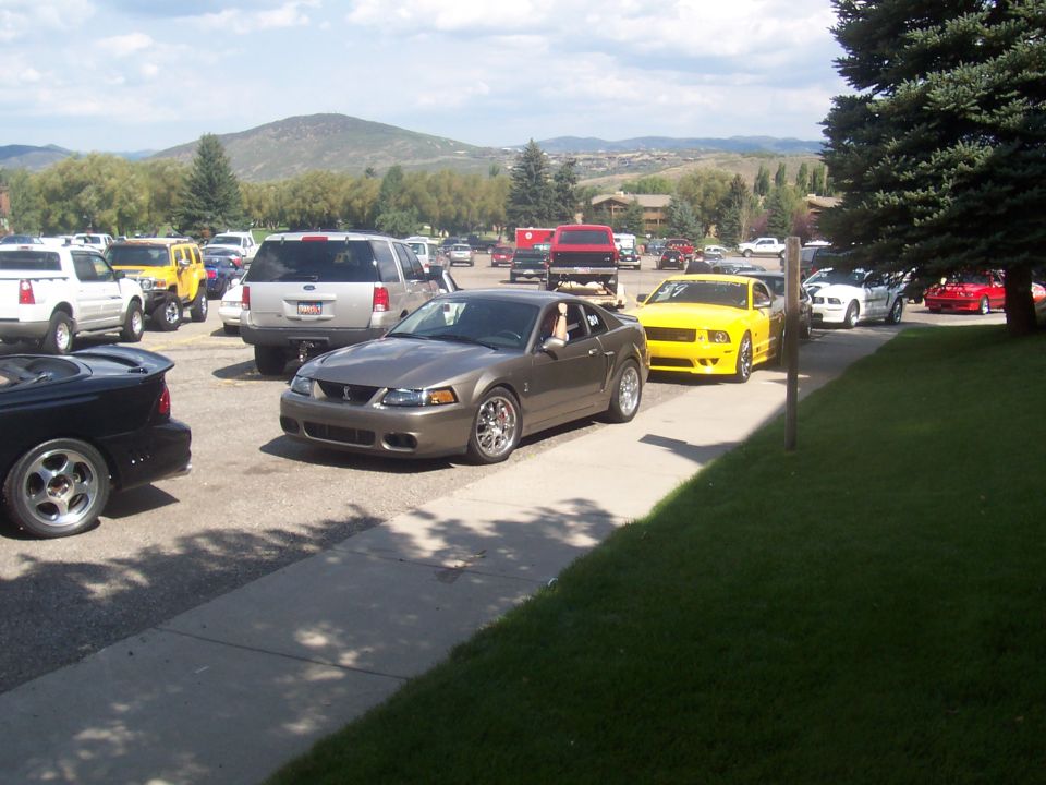 Brown Ford Mustang coupe parked on asphalt, facing right, with a yellow Mustang behind it