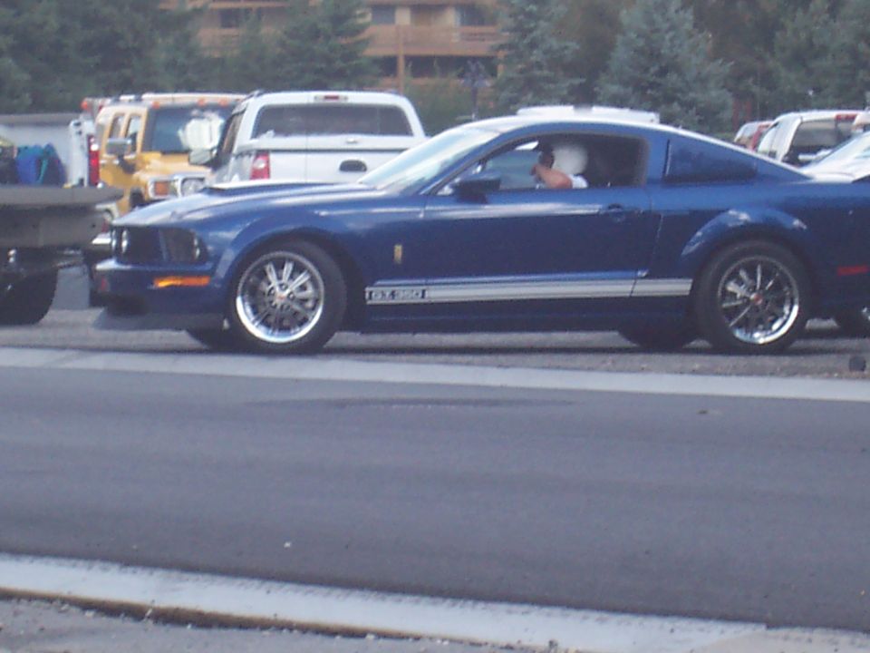 Blue coupe with GT 350 stripes, side view