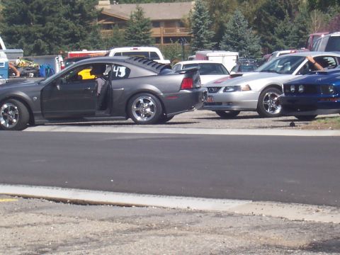 1972 Ford Ranchero - Several Mustangs are parked together, with one dark gray model showing its interior and racing number.