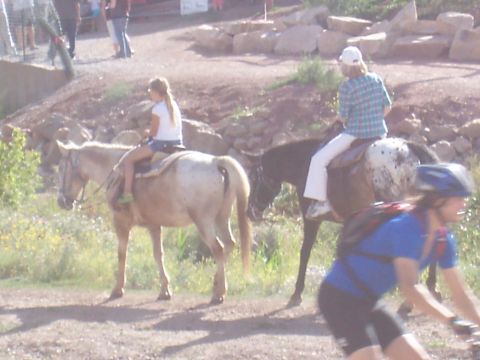 1972 Ford Ranchero - A group of people are enjoying an outdoor activity, with some riding horses and one person cycling.