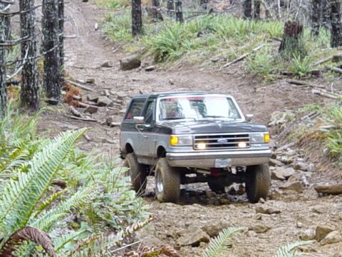 1989 Ford Bronco - I get to go next