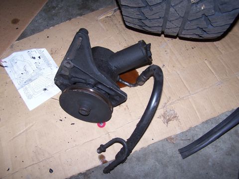 1986 Ford Bronco - Stock unit...hello garbage!