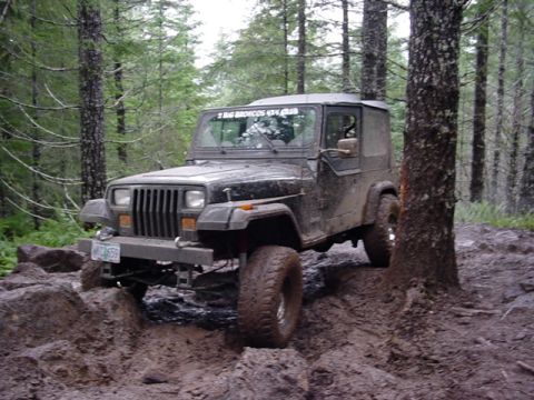 1989 Ford Bronco - Frank and his favorite tree/rock combo
