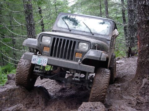 1989 Ford Bronco - On the rocks