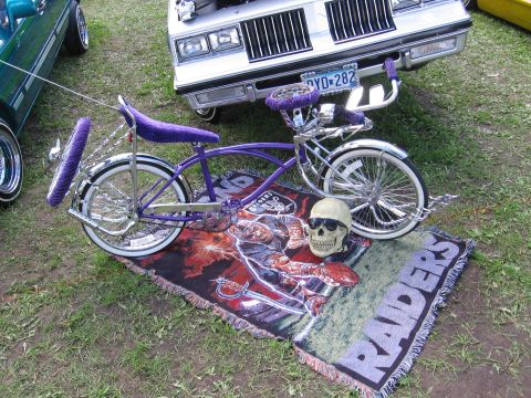 1989 Ford Mustang - A custom lowrider bicycle is displayed with a skull and Raiders blanket, next to a silver car.