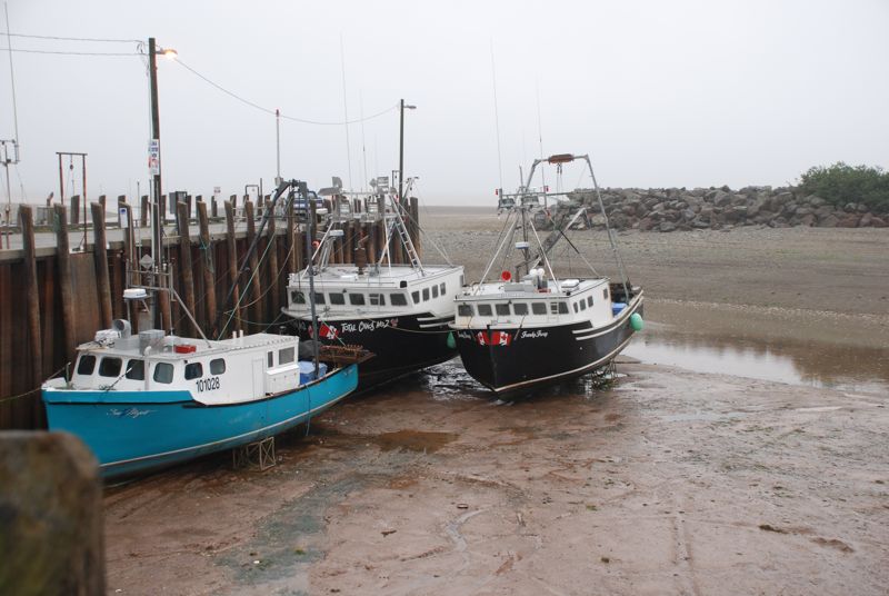 Tide out at Elma