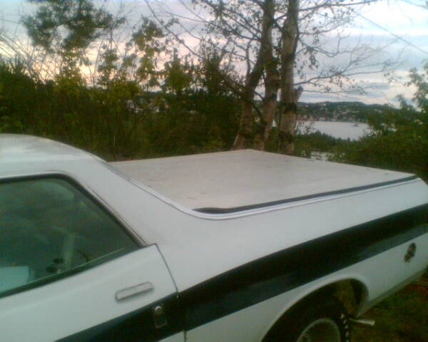 White pickup with black side stripe and white bed tonneau cover, parked near trees with a lake behind