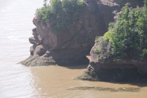 1996 Ford Bronco - Coastal rock formations with trees on top, surrounded by water.
