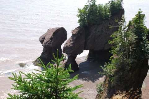 1996 Ford Bronco - Natural rock formations shaped by the ocean stand tall on a sandy beach, with trees growing from their tops.
